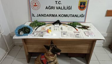 Patnos’ta uyuşturucu operasyonu: 1 tutuklama