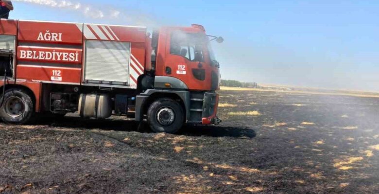 Ağrı’da çıkan yangında bir tarla küle döndü