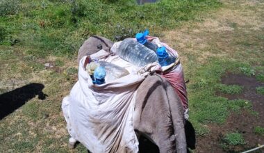 Ağrı’da köylerdeki su krizi; muhtarlar yetkililere seslendi