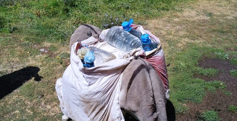 Ağrı’da köylerdeki su krizi; muhtarlar yetkililere seslendi