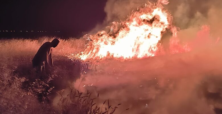 Ağrı’da tarla yangınları sürüyor; onlarca dönüm ekili tarla küle döndü