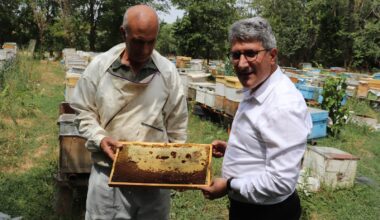 Ağrılı arıcılar tescilli “geven balı” hasadını sürdürüyor