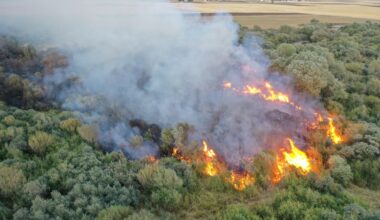 Eleşkirt’te ağaçlık alanda çıkan yangın söndürüldü