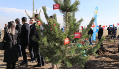 Ağrı’da adliye personeli Cumhuriyetin 100.yılı anısına 500 fidanı toprakla buluşturdu