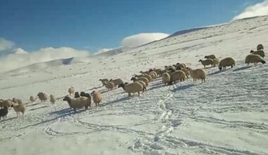 Ağrı kar yağışı etkili oldu