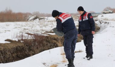 Jandarma hayvanlar için doğaya yem bıraktı