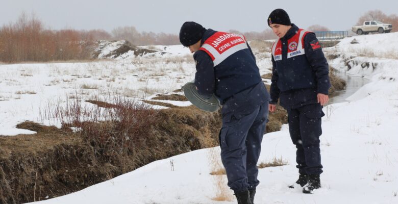 Jandarma hayvanlar için doğaya yem bıraktı