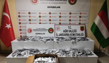 Sınırda 2 milyon 754 bin TL’lik botoks ele geçirildi