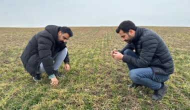 Arpa, Buğday Ve Diğer Ürünlerin Çıkış Kontrolleri Devam Ediyor