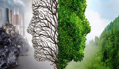 Havası En Kötü Şehirler Arasında Ağrı’da Yer Aldı