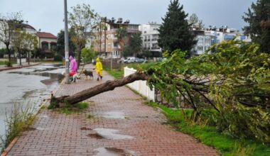 Meteorolojiden Kuvvetli Rüzgar Uyarısı