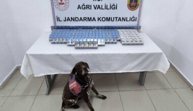 Ağrı’da Kaçak Sigara Operasyonu: 2000 Paket Ele Geçirildi