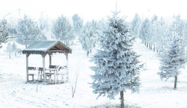 AİÇÜ’de Kartpostallık Manzaralar 