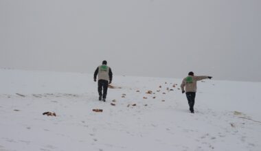 Ağrı’da Yabani Hayvanlar İçin Örnek Çalışma